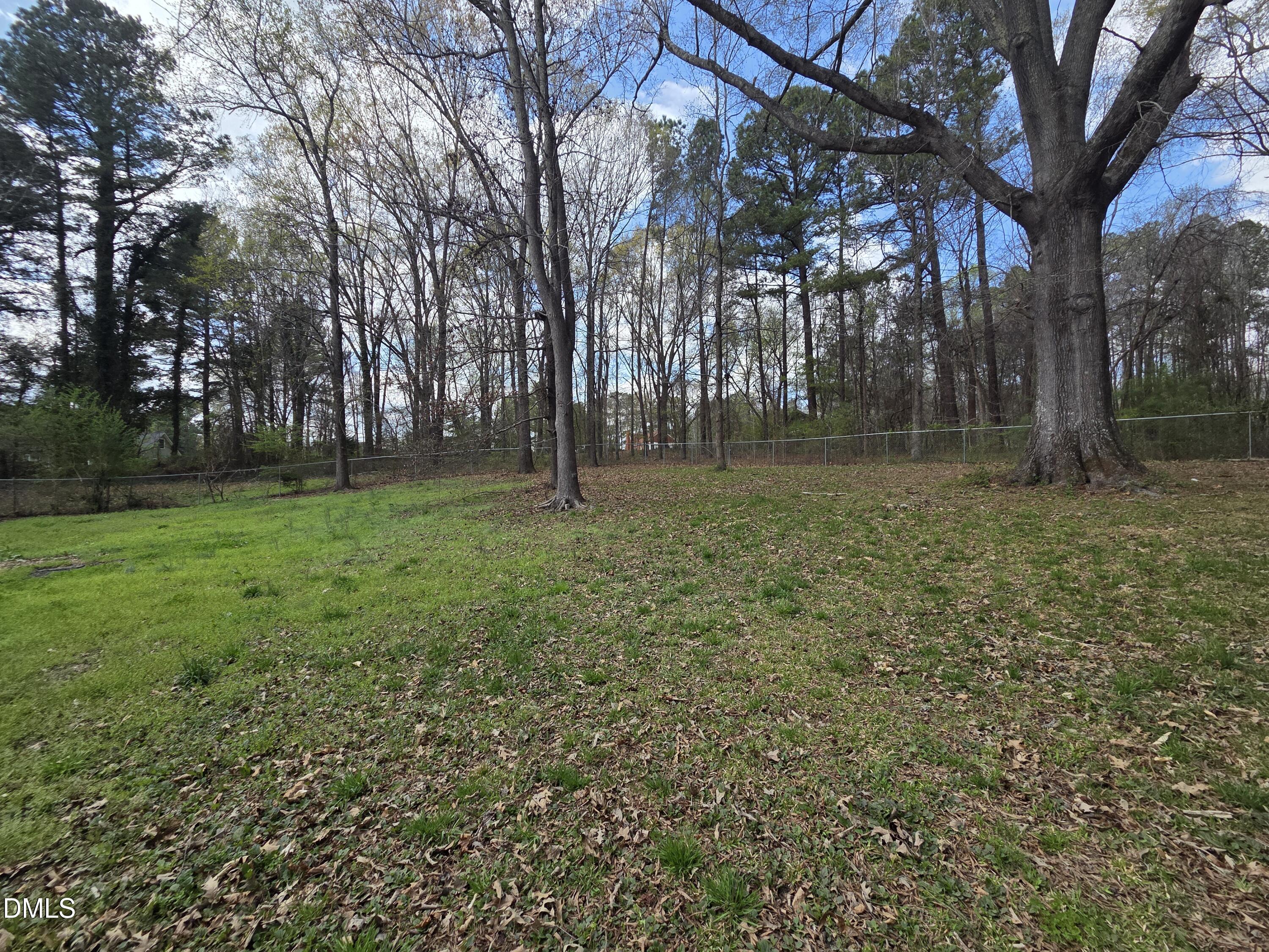 3001 Hidden Spring Lane Oxford, NC 27565 - Photo 9 of 57 a view of a trees with a backyard