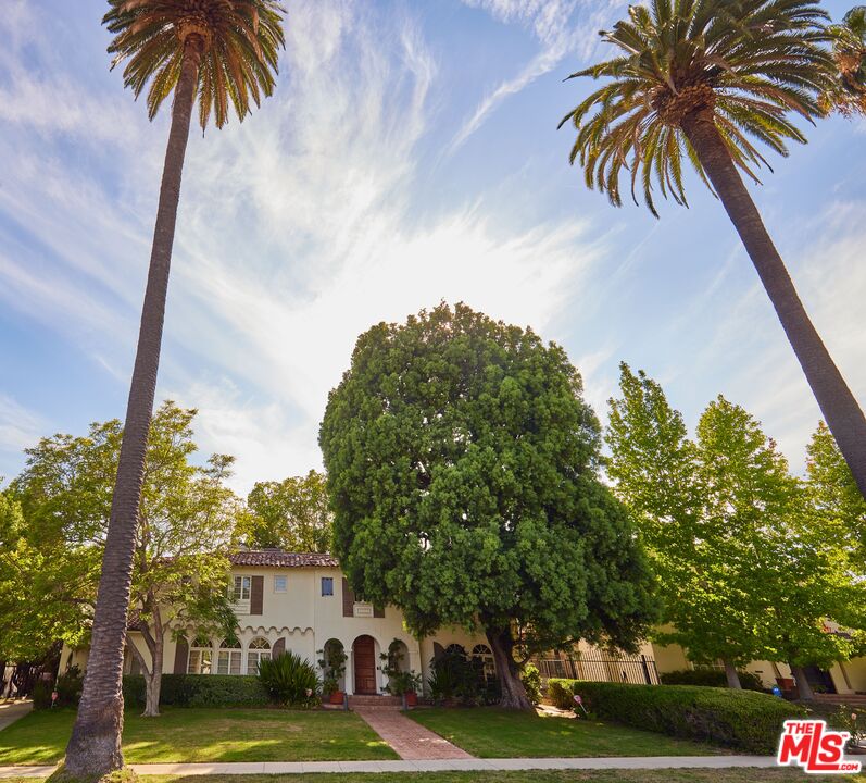 623 North Hillcrest Road Beverly Hills, CA 90210 - Photo 23 of 24 a view of a palm trees in front of a building