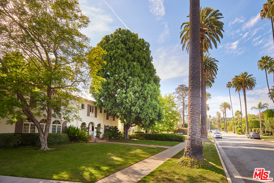 623 North Hillcrest Road Beverly Hills, CA 90210 - Photo 24 of 24 a view of a yard with palm trees