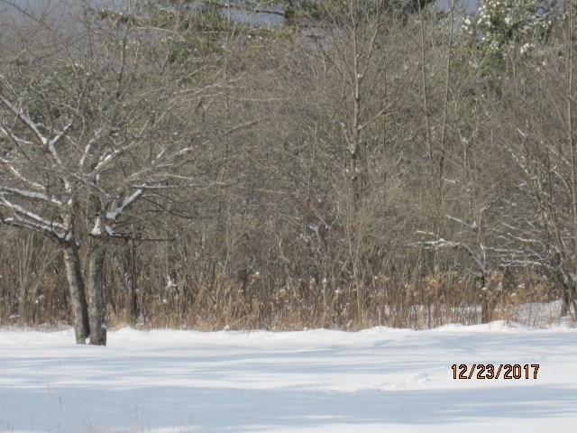 1841575-3.JPG