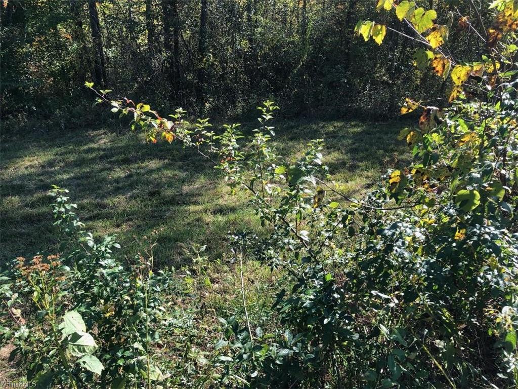 Tbd Tbd Haystack Road Dobson, NC 27017 - Photo 2 of 4 Gallery Image 2