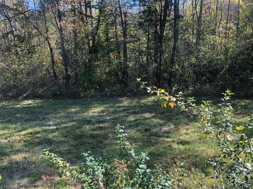Tbd Tbd Haystack Road Dobson, NC 27017 - Photo 3 of 4 Gallery Image 3