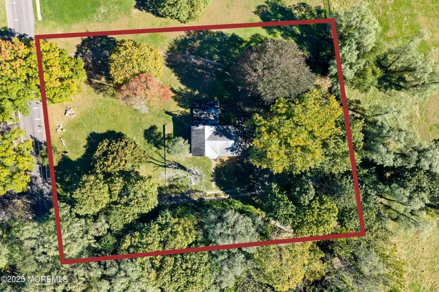 a backyard of a house with plants and large trees