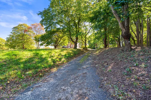 a view of a yard with a tree