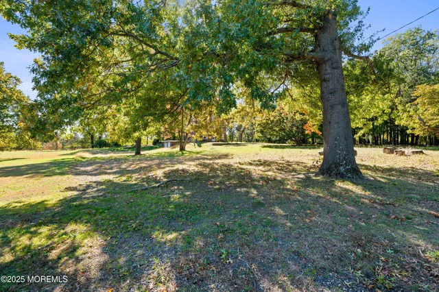 a view of swimming pool with large trees and flower plants