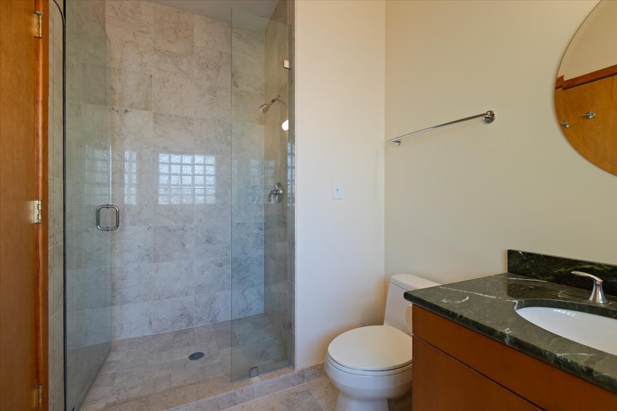 3464 Old Mill Road North Highland Park, IL 60035 - Photo 30 of 64 a bathroom with a granite countertop sink a toilet and shower