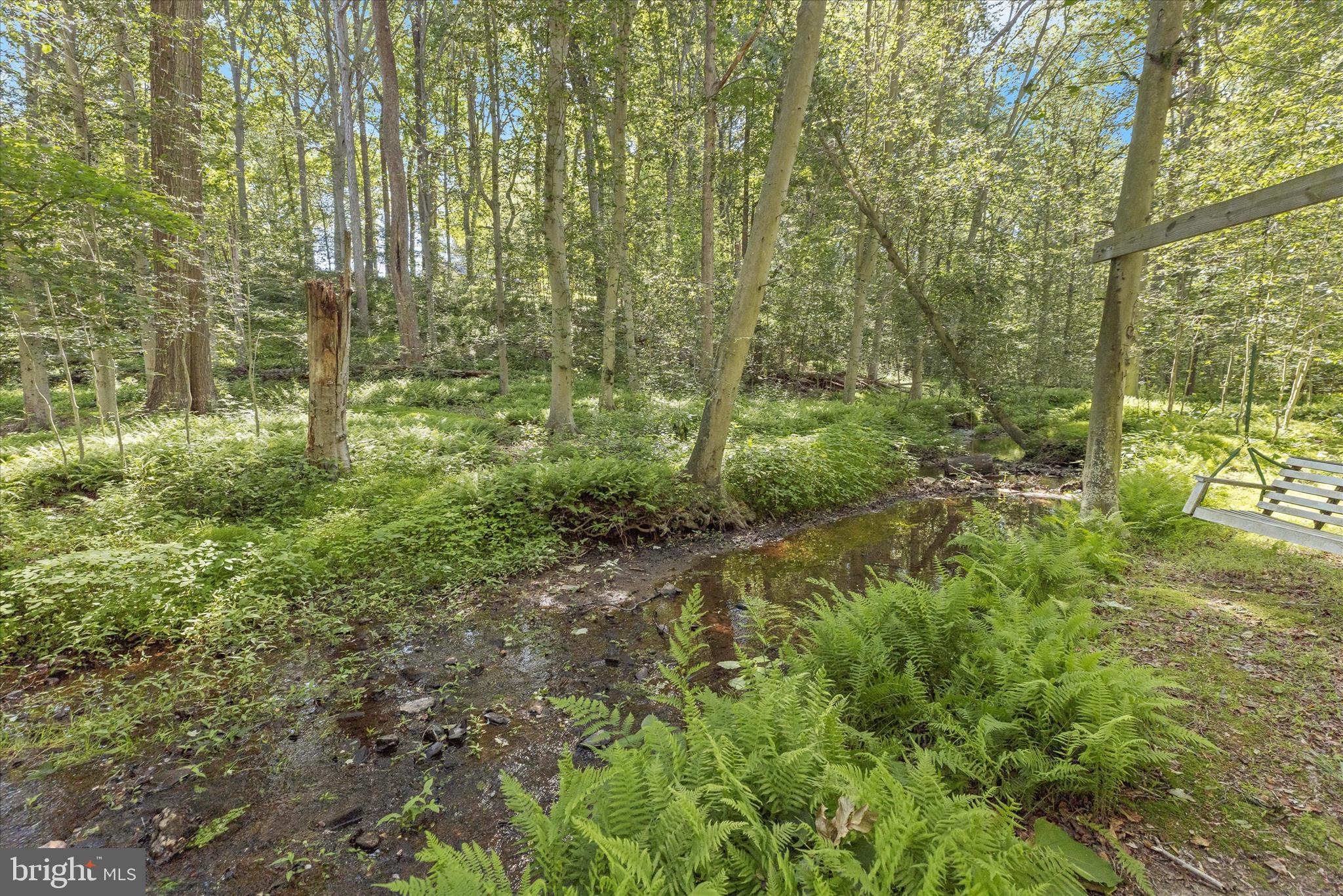1109 East Wheel Road Bel Air, MD 21015 - Photo 15 of 111 Wooded wonderland
