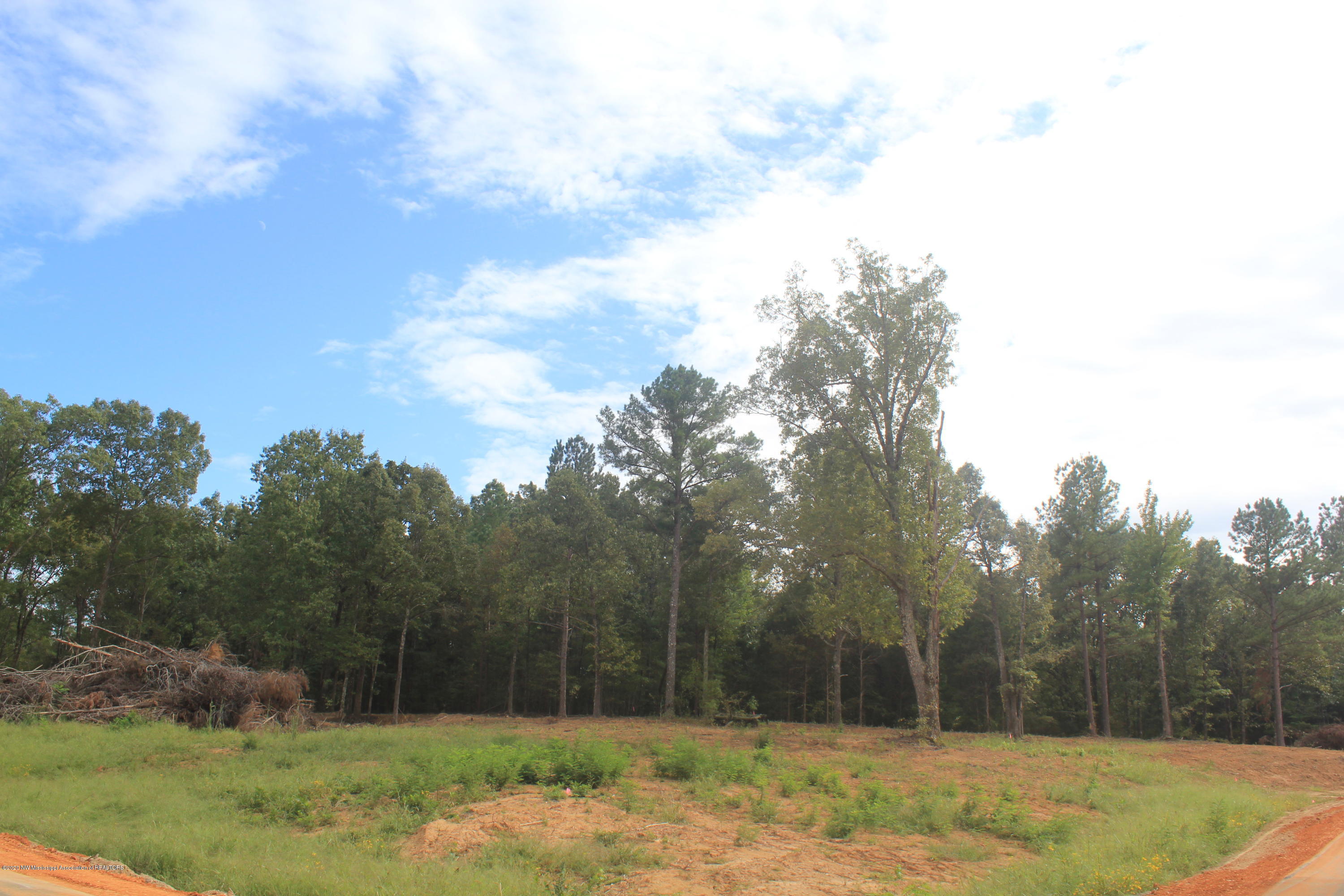 44 Hayward Road Byhalia, MS 38611 - Photo 20 of 28 IMG_4816