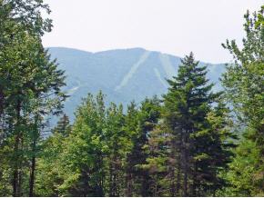 0 Lot Road Warren, VT 05674 - Photo 2 of 3 Gallery Image 2