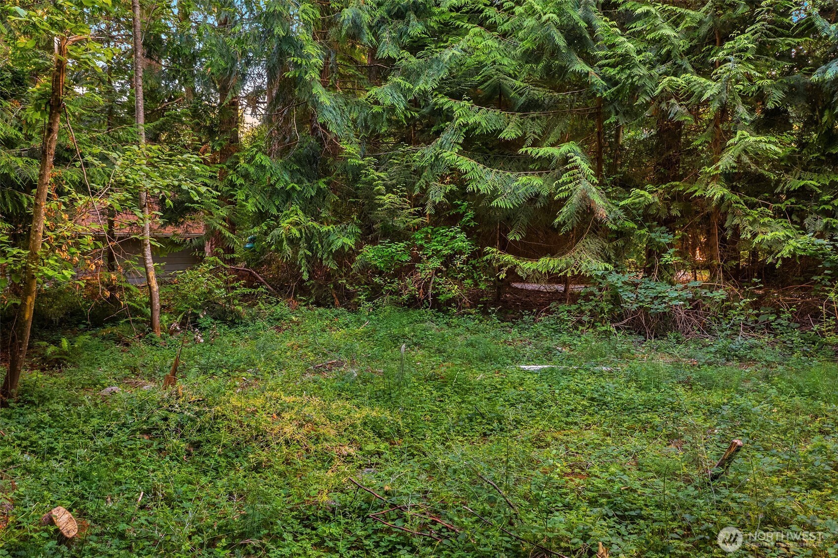 107 133rd Street Southwest Vashon, WA 98070 - Photo 3 of 10