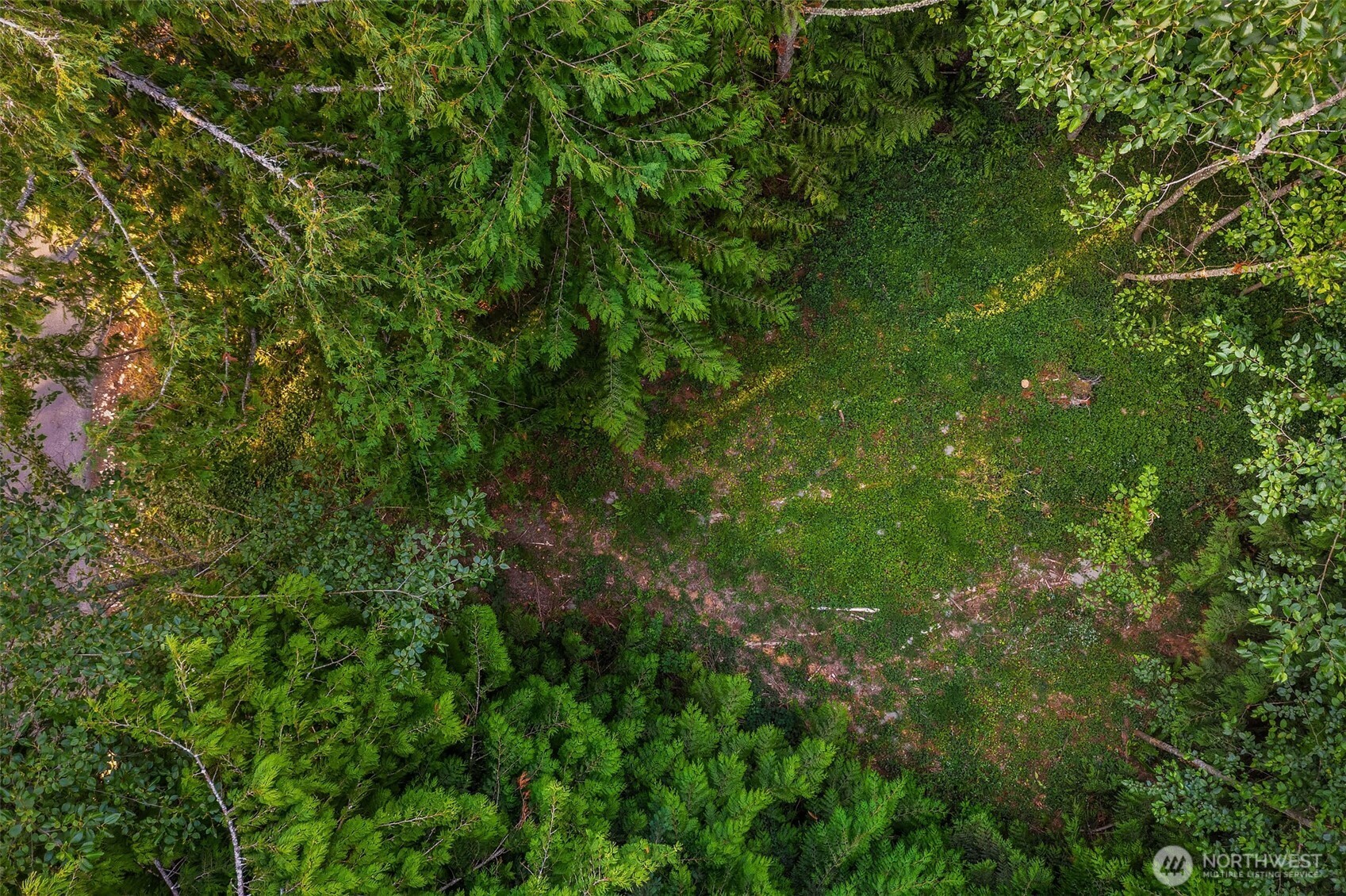 107 133rd Street Southwest Vashon, WA 98070 - Photo 4 of 10