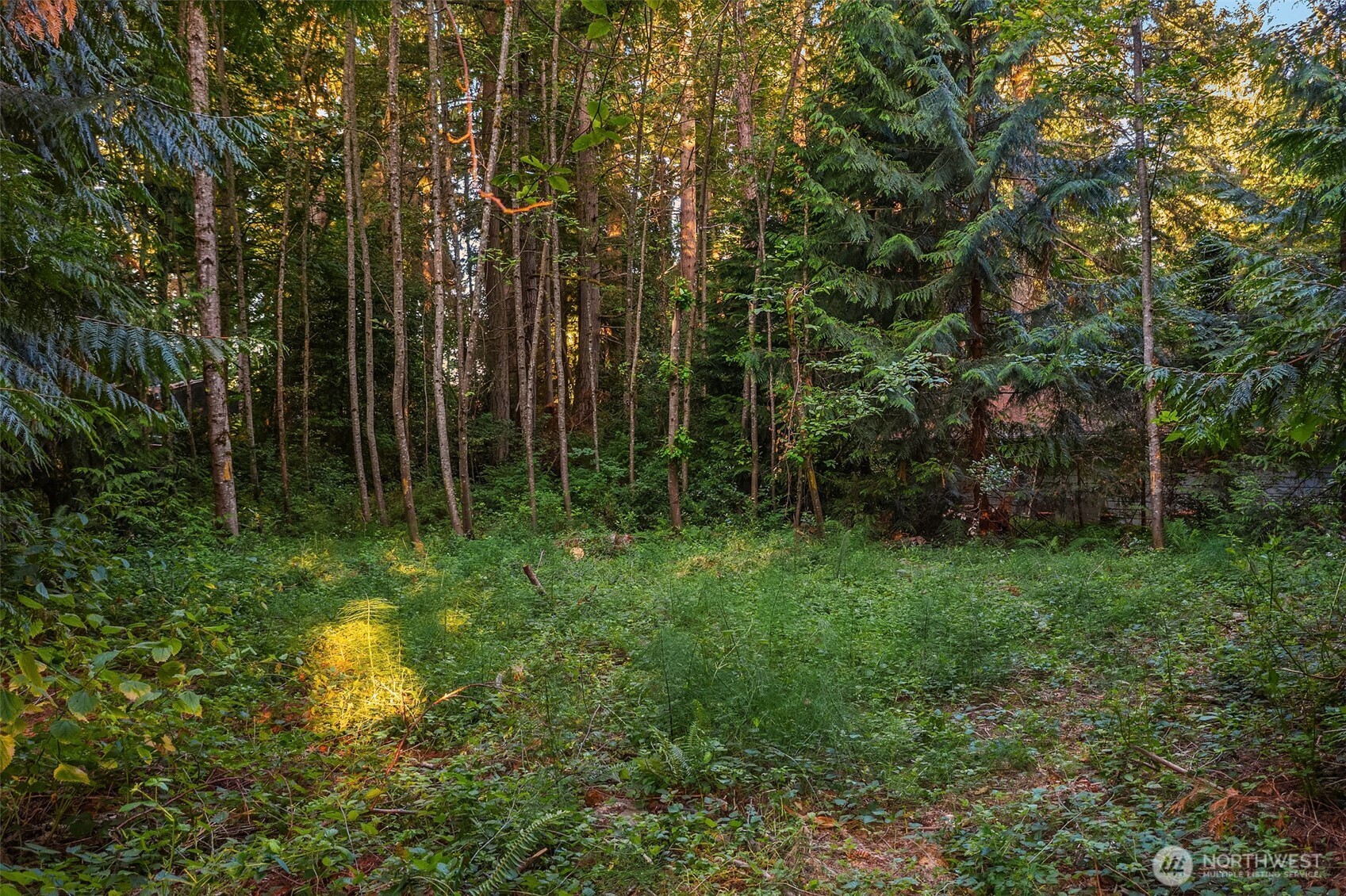 107 133rd Street Southwest Vashon, WA 98070 - Photo 5 of 10