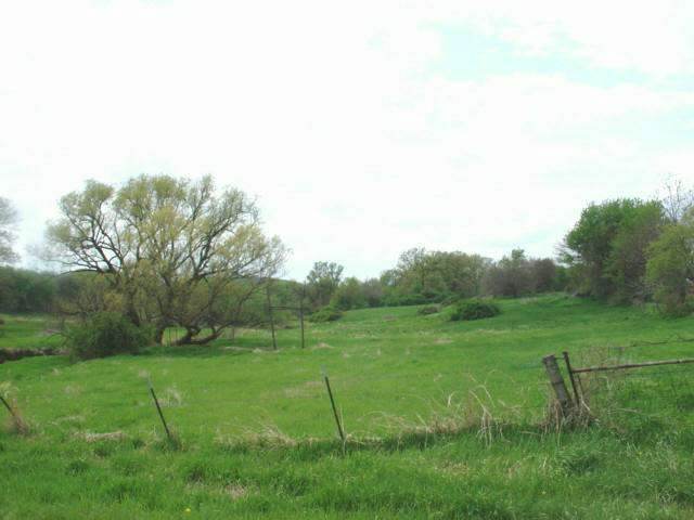 a view of a grassy field with trees