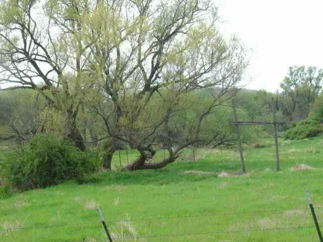 Tbd North Eleroy Road Freeport, IL 61032 - Photo 2 of 3 a view of lush green field