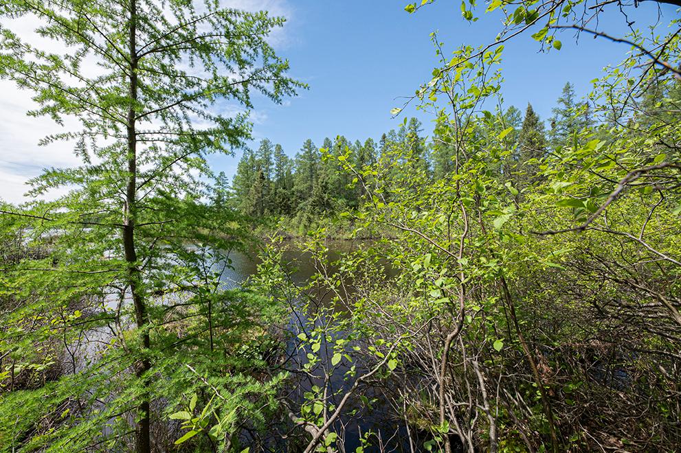 On Dam Road, Unit 85 ACRES Eagle River, WI 54521 - Photo 22 of 41 Gallery Image 22