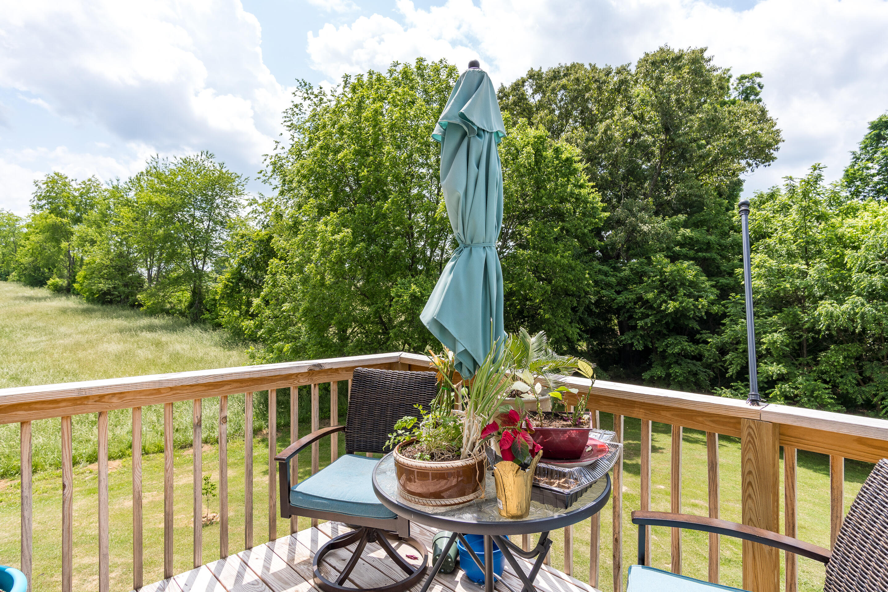 133 Kitzmiller Road Gray, TN 37615 - Photo 30 of 40 exterior-2