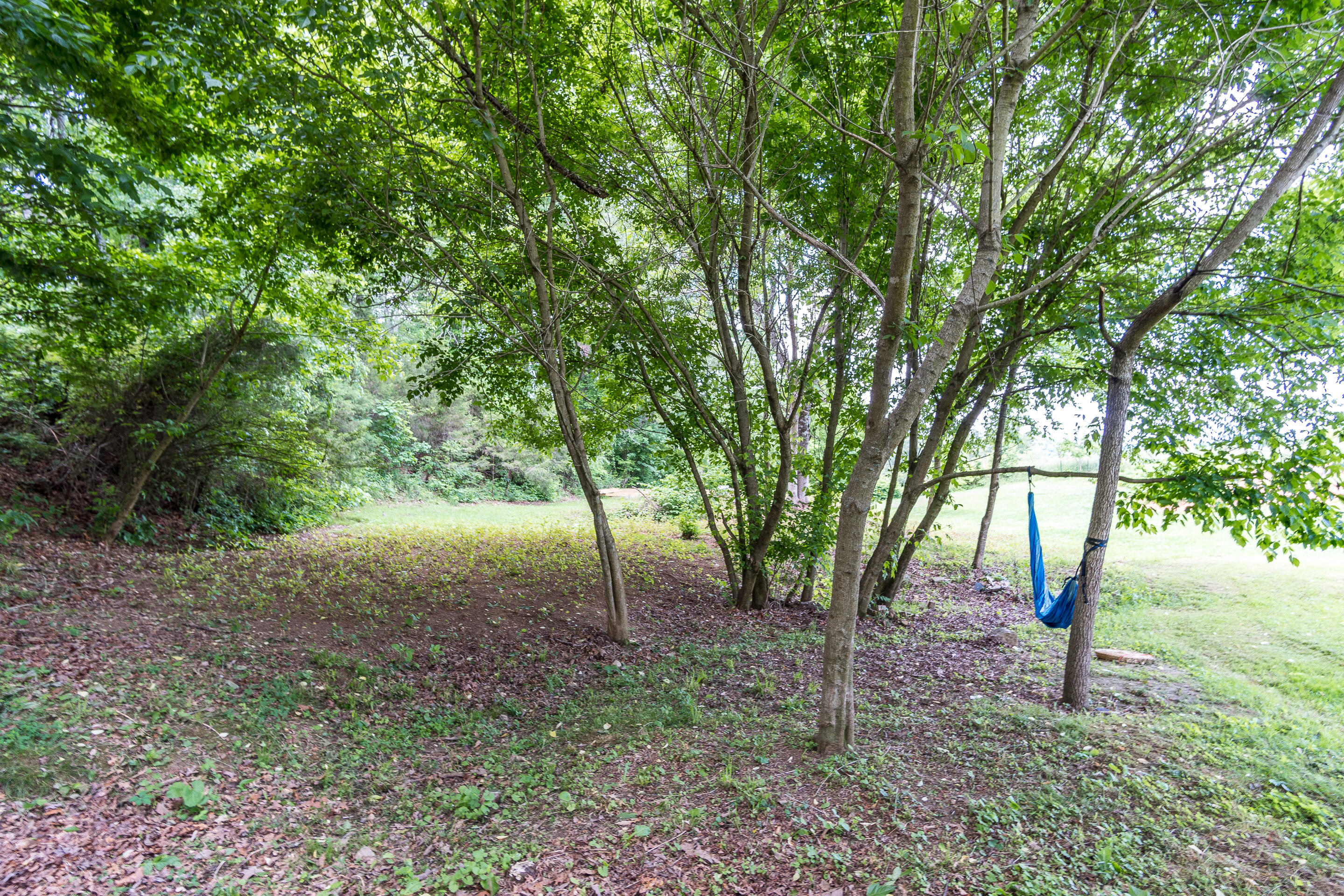 133 Kitzmiller Road Gray, TN 37615 - Photo 36 of 40 exterior-16