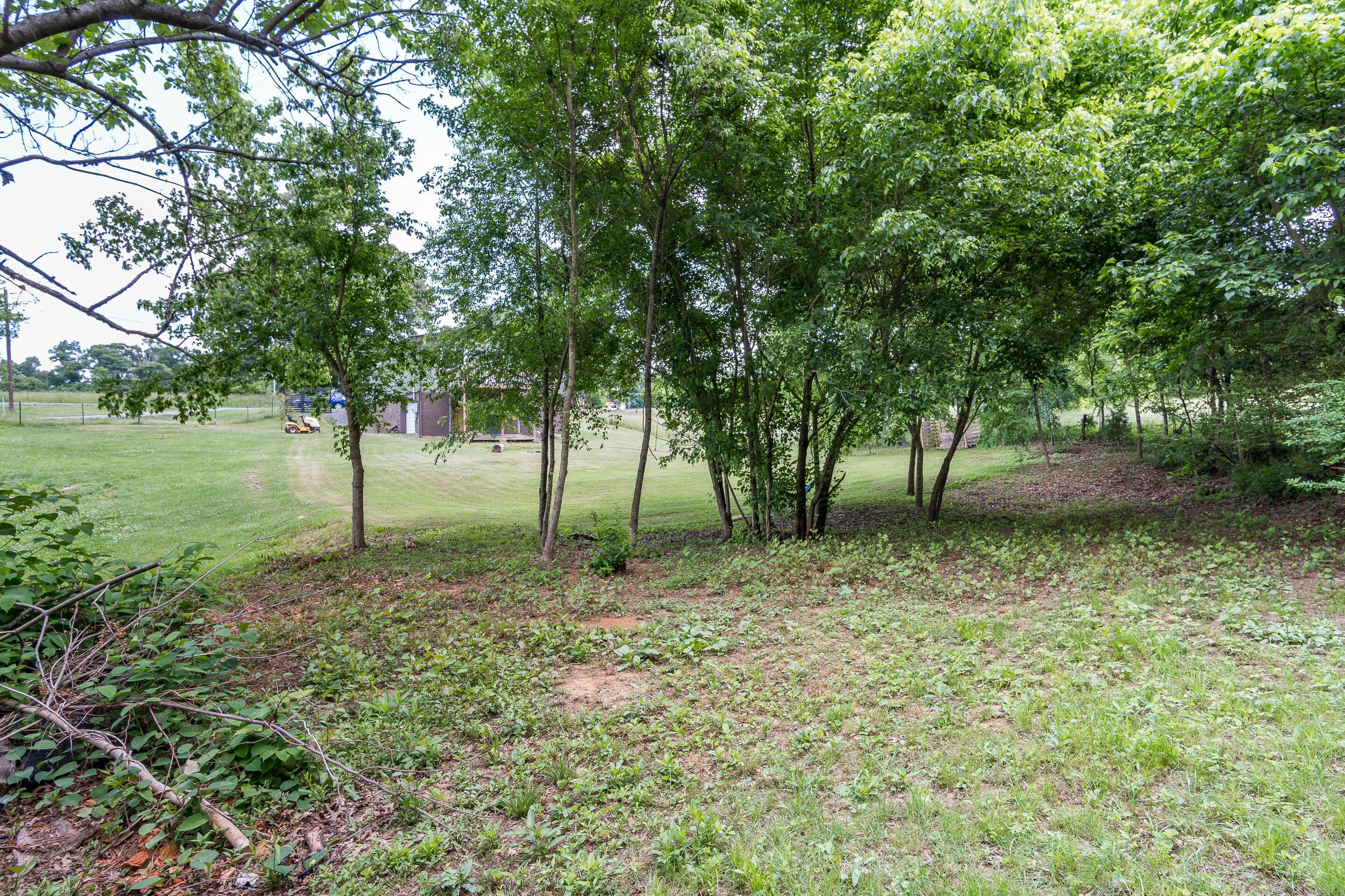 133 Kitzmiller Road Gray, TN 37615 - Photo 37 of 40 exterior-17