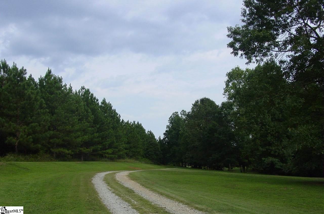 115 Pleasant Hill Road Landrum, SC 29356 - Photo 27 of 28