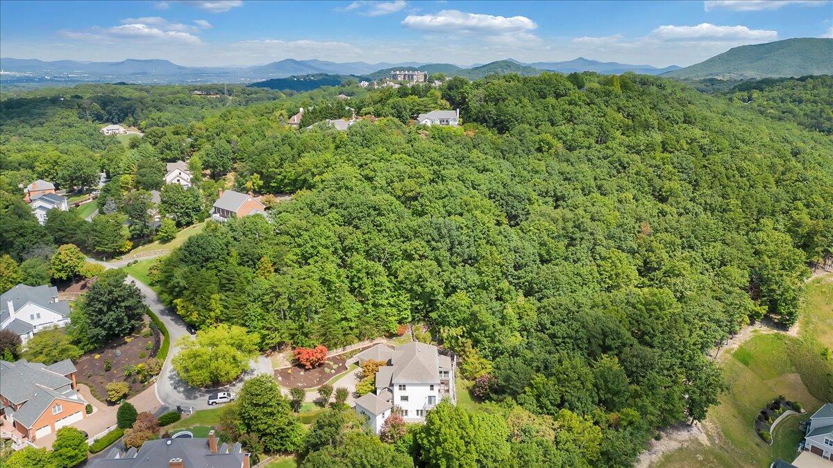 5322 Fox Den Road Roanoke, VA 24018 - Photo 81 of 82 2-DJI_0018