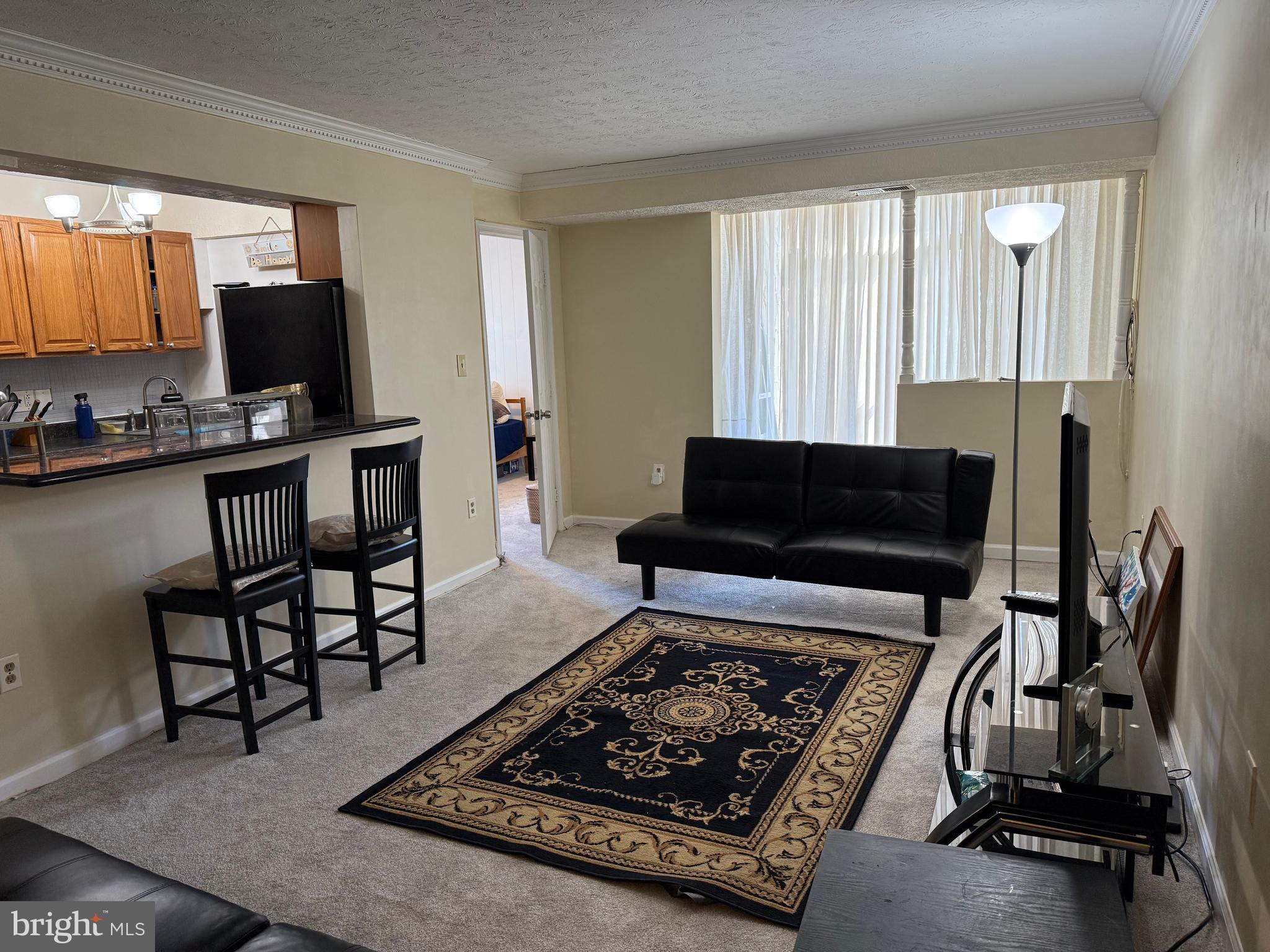 7925 Mandan Road, Unit 204 Greenbelt, MD 20770 - Photo 13 of 41 Living Area 7 of 12