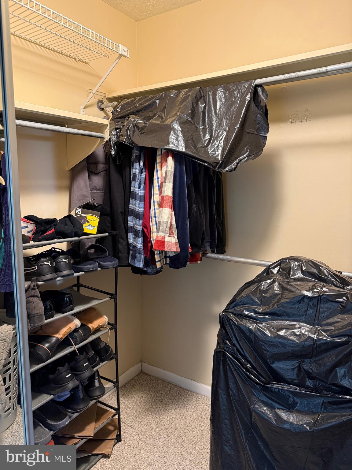 7925 Mandan Road, Unit 204 Greenbelt, MD 20770 - Photo 35 of 41 Primary walk-in closet