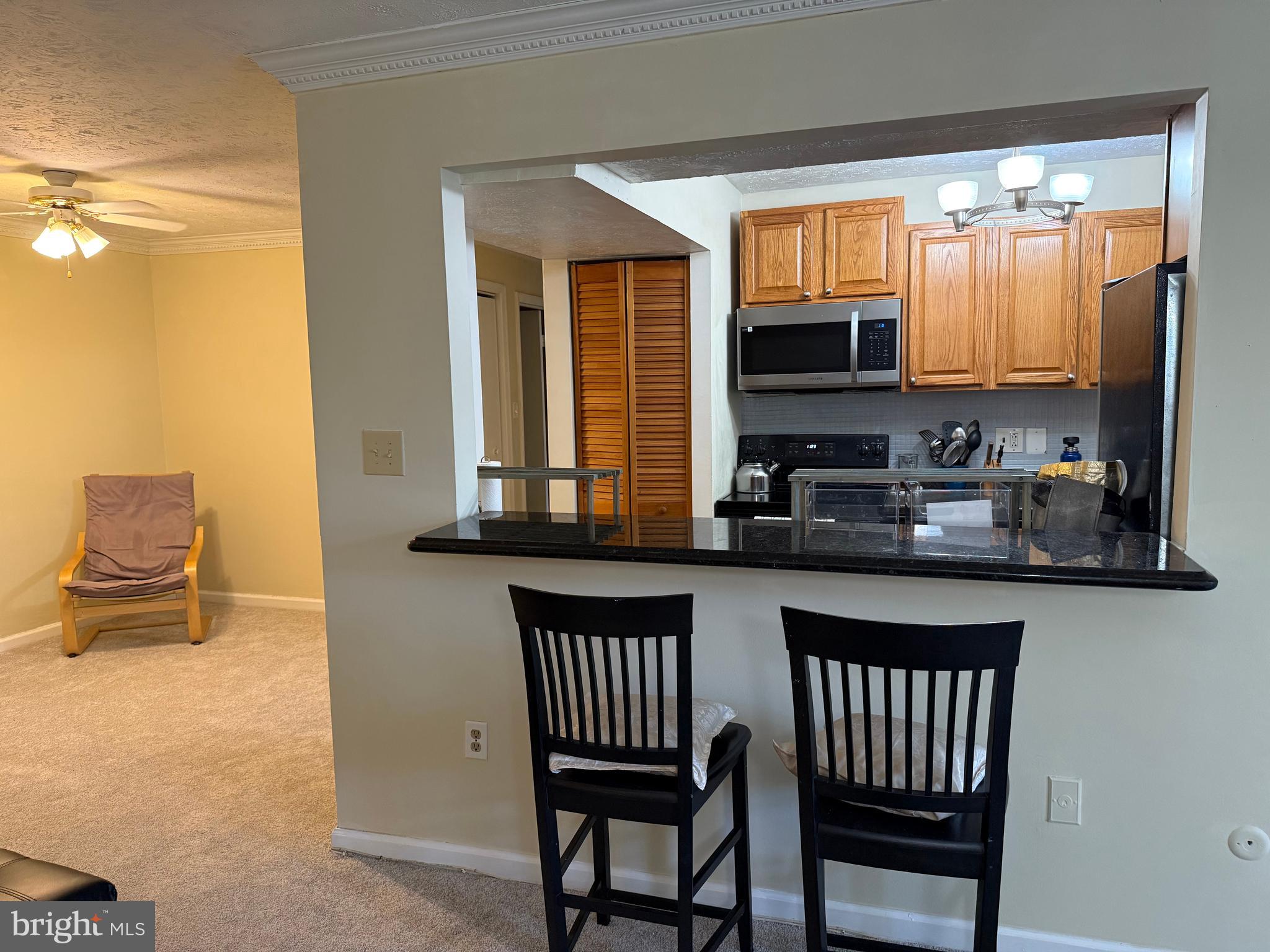 7925 Mandan Road, Unit 204 Greenbelt, MD 20770 - Photo 9 of 41 Living Area 3 of 12