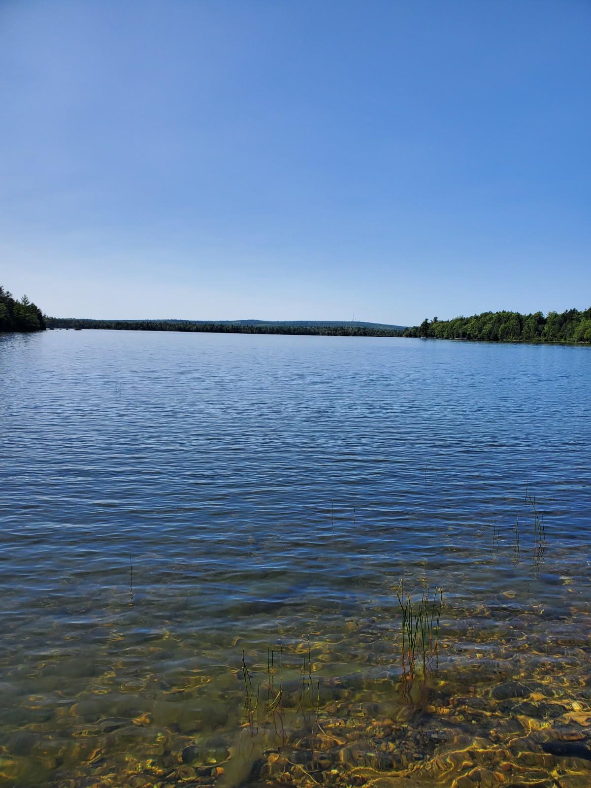 Lot 8 East Ridge Road Cooper, ME 04657 - Photo 5 of 14 20210816_141654