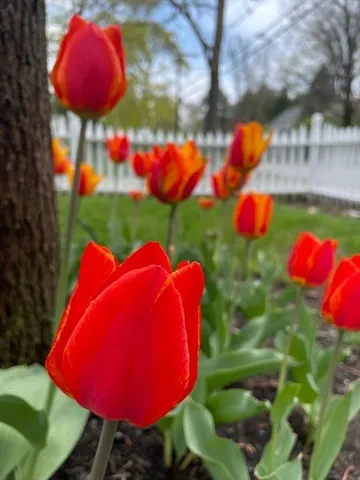 $1,499,900 | 52 Salem Street, Andover, MA 01810