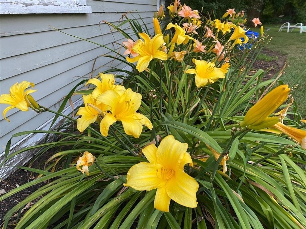 52 Salem Street Andover, MA 01810 - Photo 37 of 42