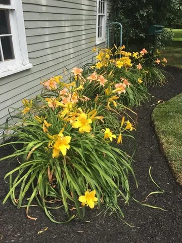 $1,499,900 | 52 Salem Street, Andover, MA 01810