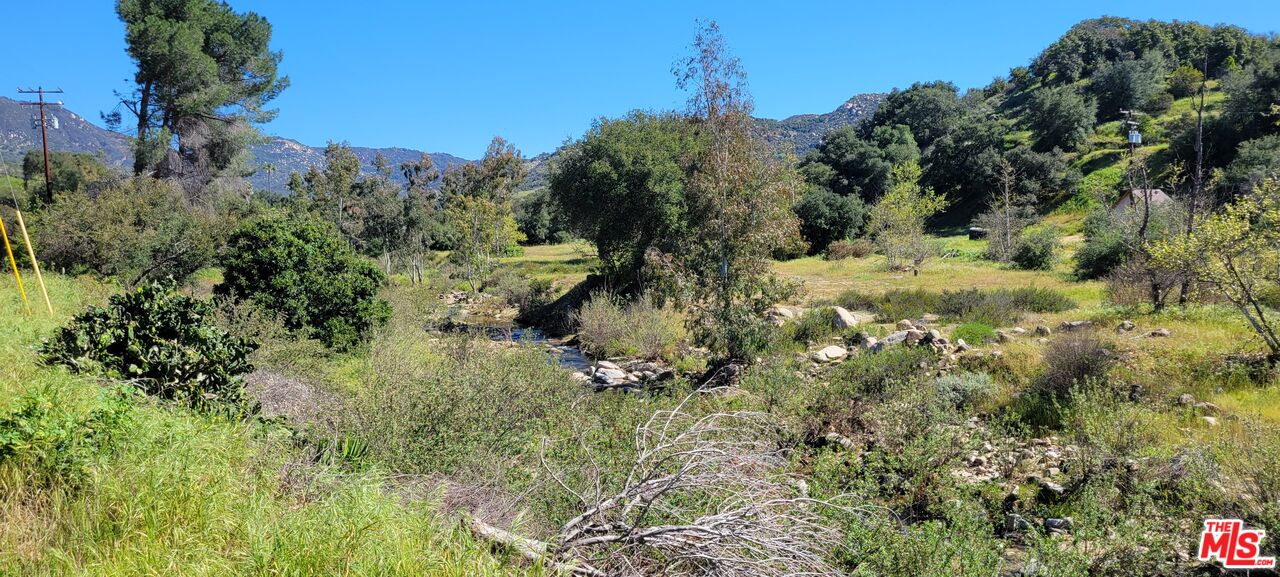 41322 De Luz Road Fallbrook, CA 92028 - Photo 23 of 29 a view of a lush green forest