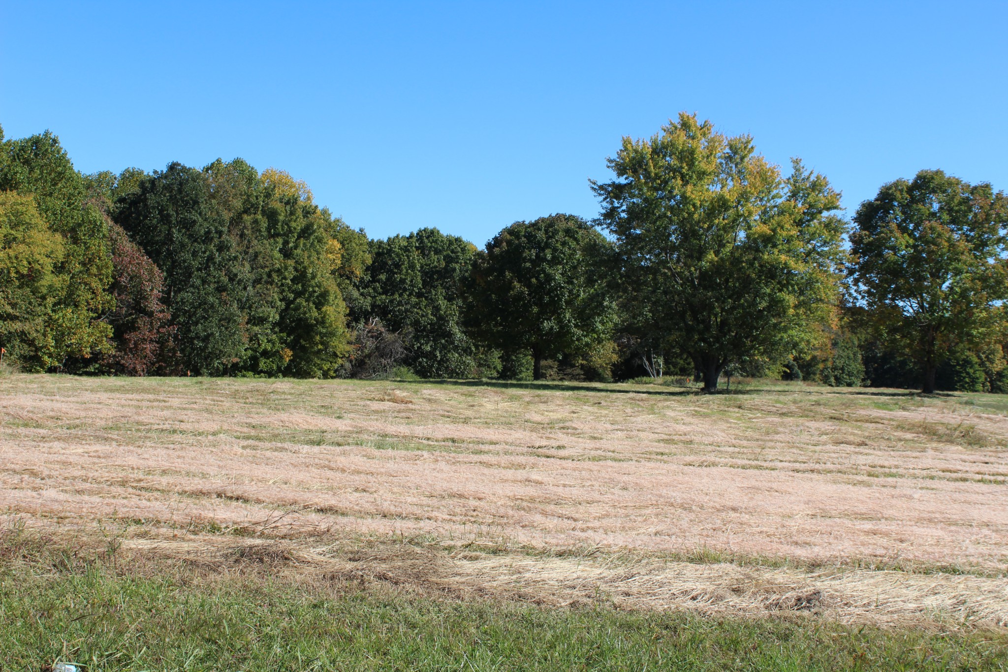 0 Chaffin Road Lafayette, TN 37083 - Photo 1 of 3 a view of ocean view with beach