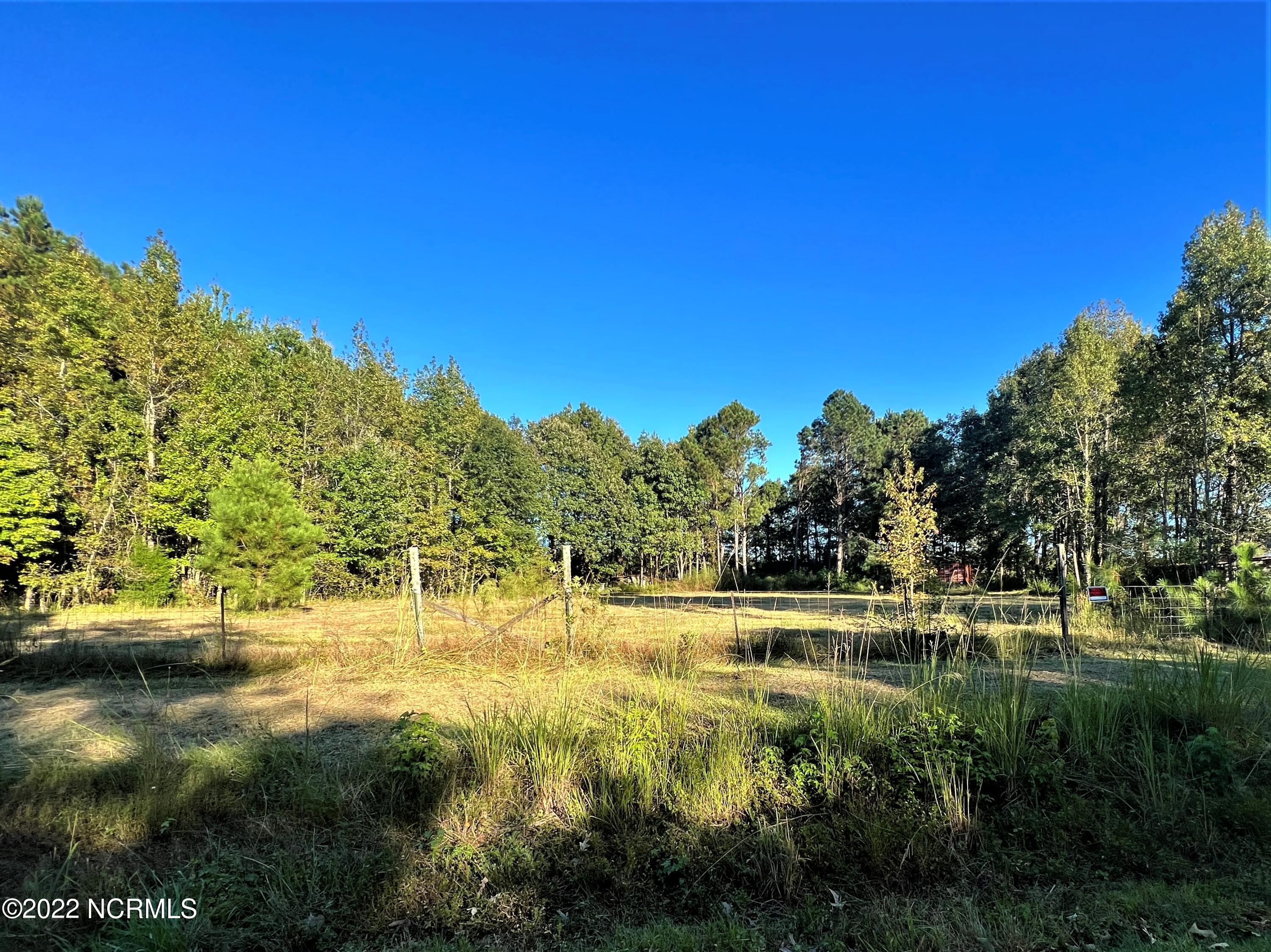 321 Litchfield Road Creswell, NC 27928 - Photo 8 of 14 IMG_1927 (2)