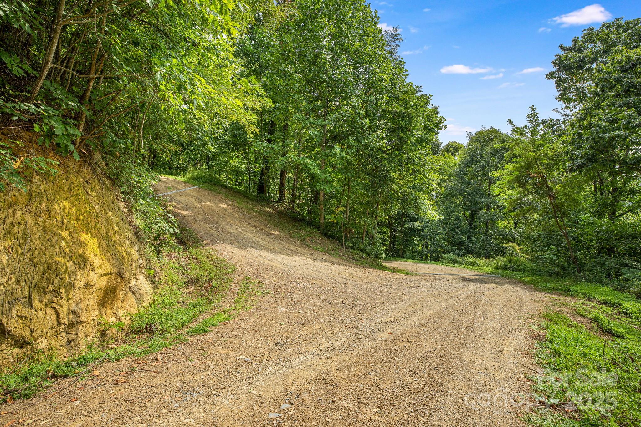Lot 21 Cat Pen Branch Road Hot Springs, NC 28743 - Photo 13 of 31 a view of a yard with plants and large trees