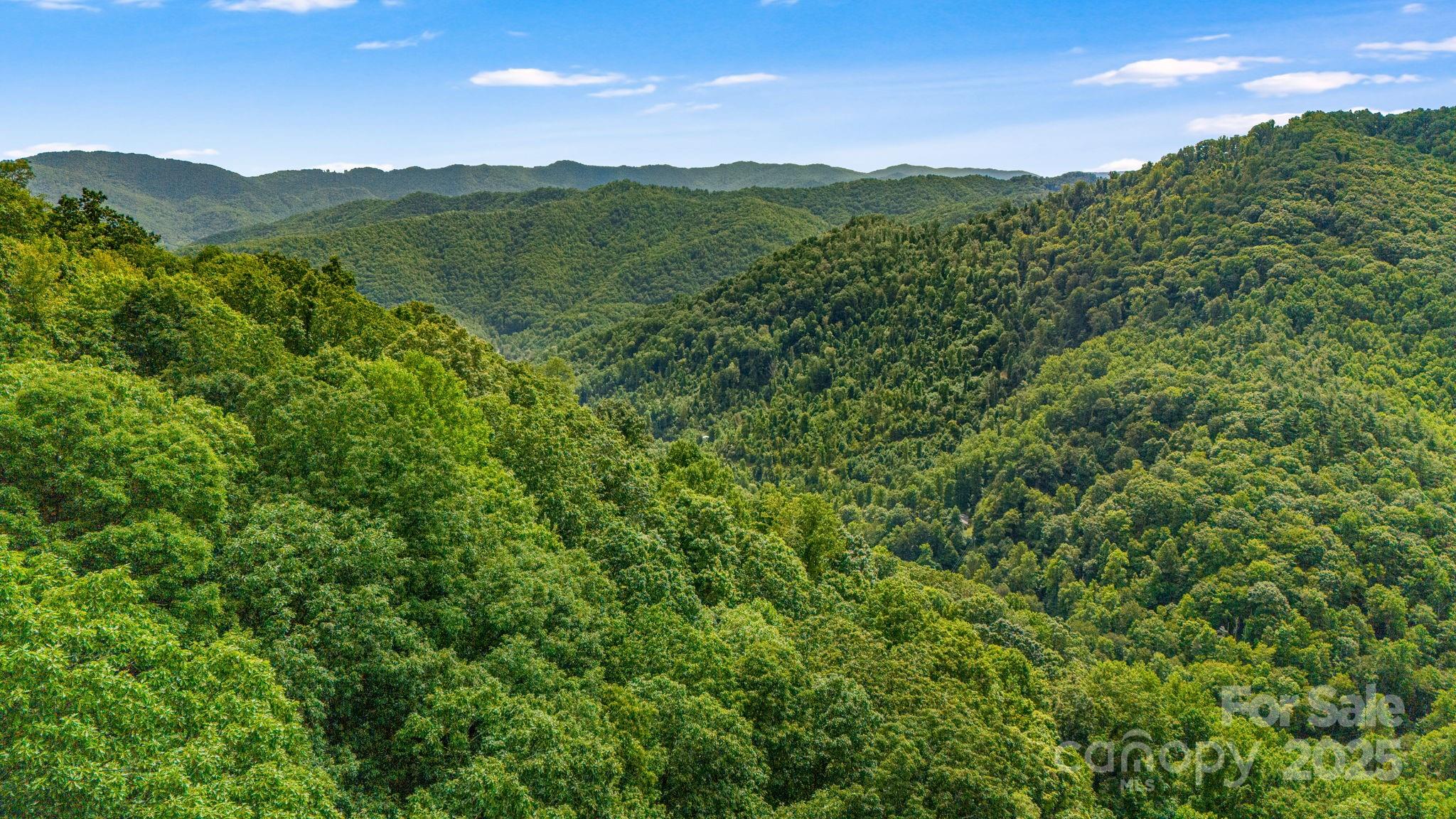 Lot 21 Cat Pen Branch Road Hot Springs, NC 28743 - Photo 17 of 31 a view of a lush green forest with houses in the background