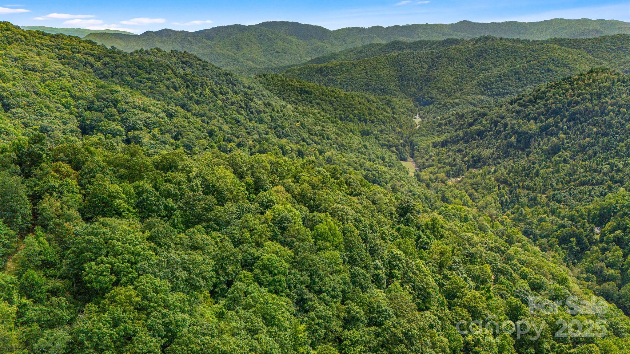 Lot 21 Cat Pen Branch Road Hot Springs, NC 28743 - Photo 18 of 31 a view of a lush green forest with trees in the background