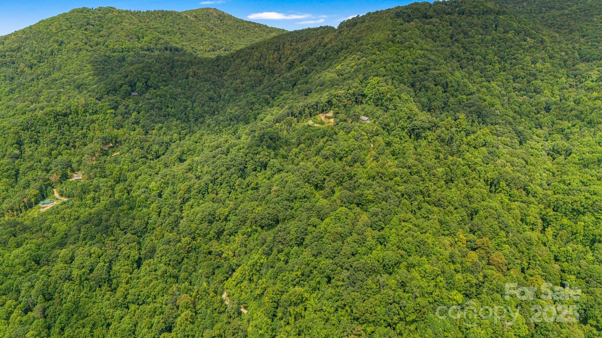 Lot 21 Cat Pen Branch Road Hot Springs, NC 28743 - Photo 20 of 31 a view of a lush green forest with a mountain