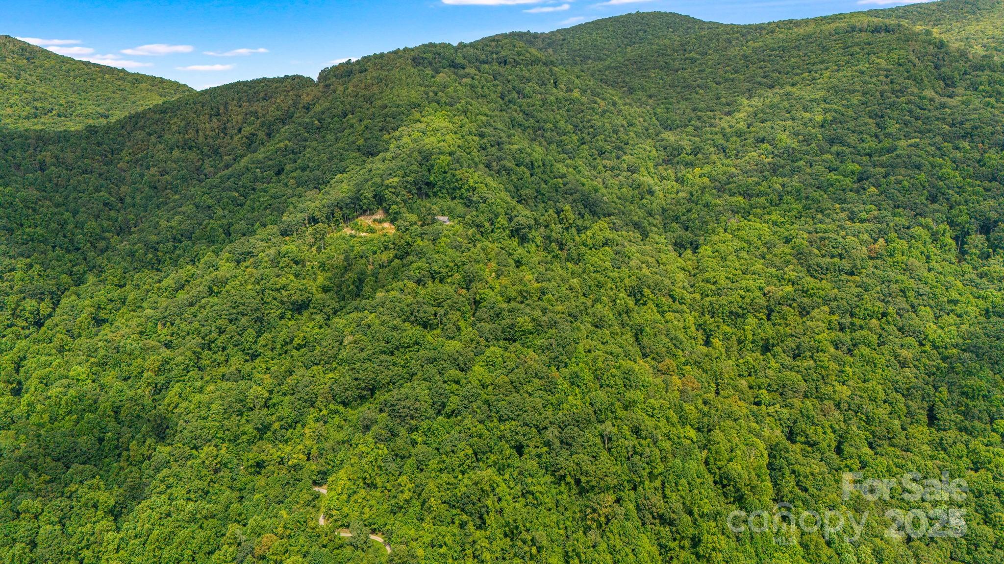 Lot 21 Cat Pen Branch Road Hot Springs, NC 28743 - Photo 21 of 31 a view of a lush green forest with a mountain