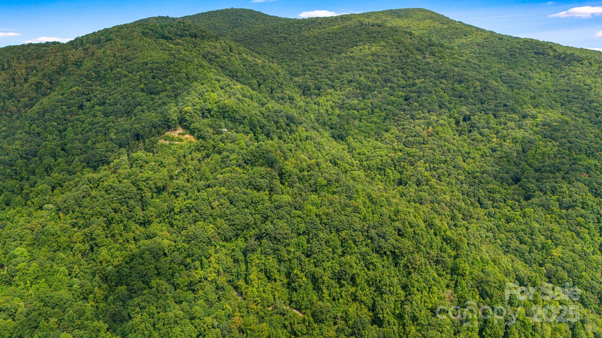 Lot 21 Cat Pen Branch Road Hot Springs, NC 28743 - Photo 22 of 31 a view of a lush green forest with a mountain