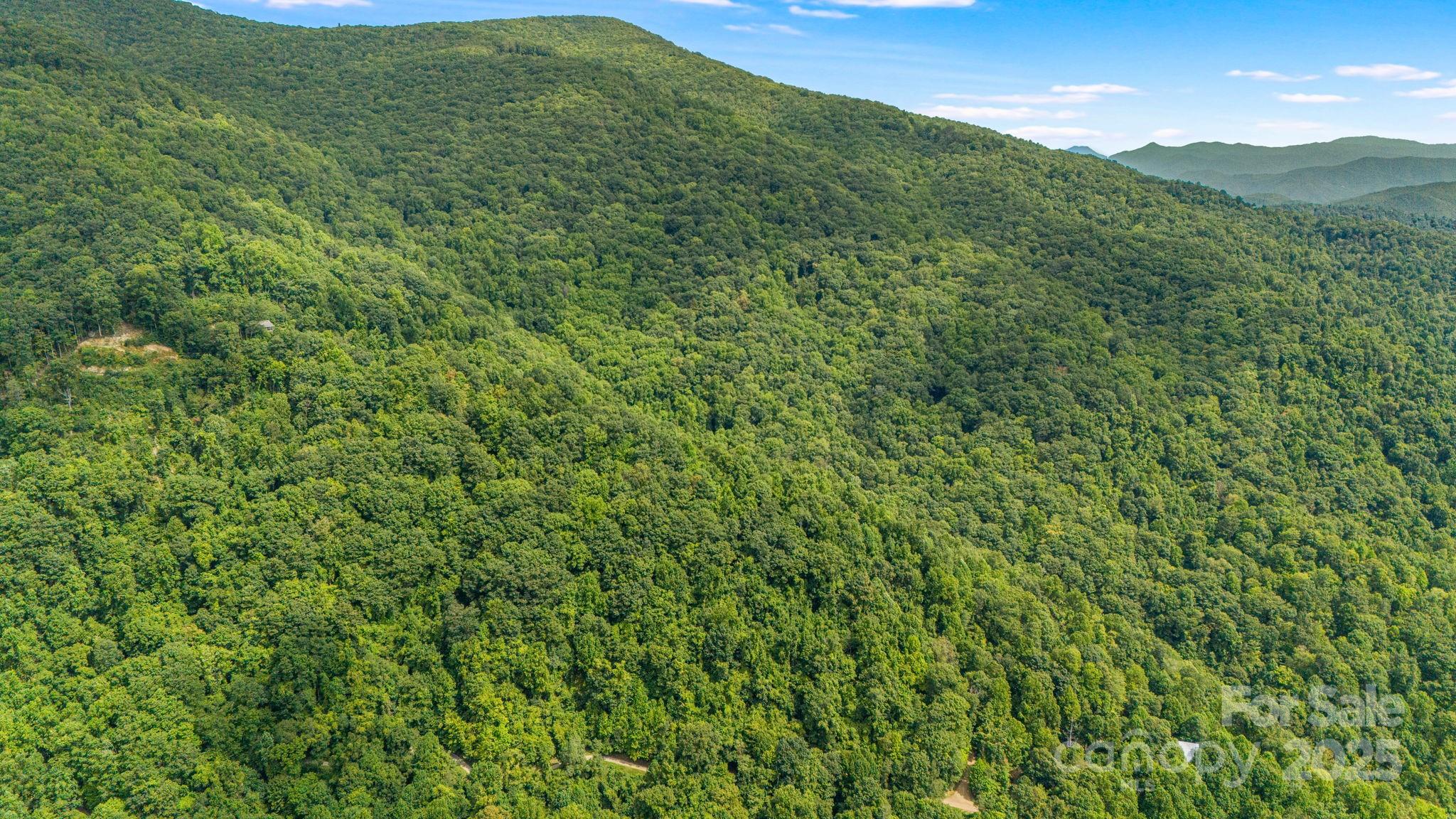 Lot 21 Cat Pen Branch Road Hot Springs, NC 28743 - Photo 23 of 31 a view of a lush green forest with a mountain