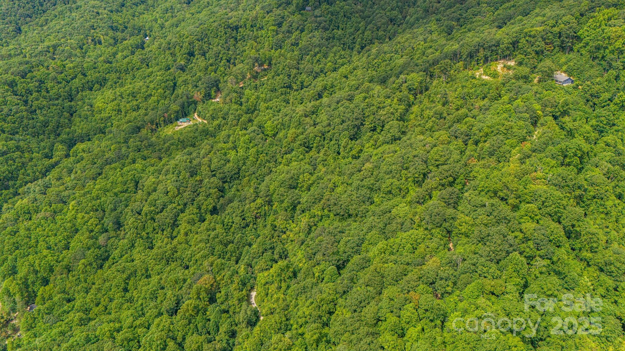 Lot 21 Cat Pen Branch Road Hot Springs, NC 28743 - Photo 28 of 31 a view of a lush green forest