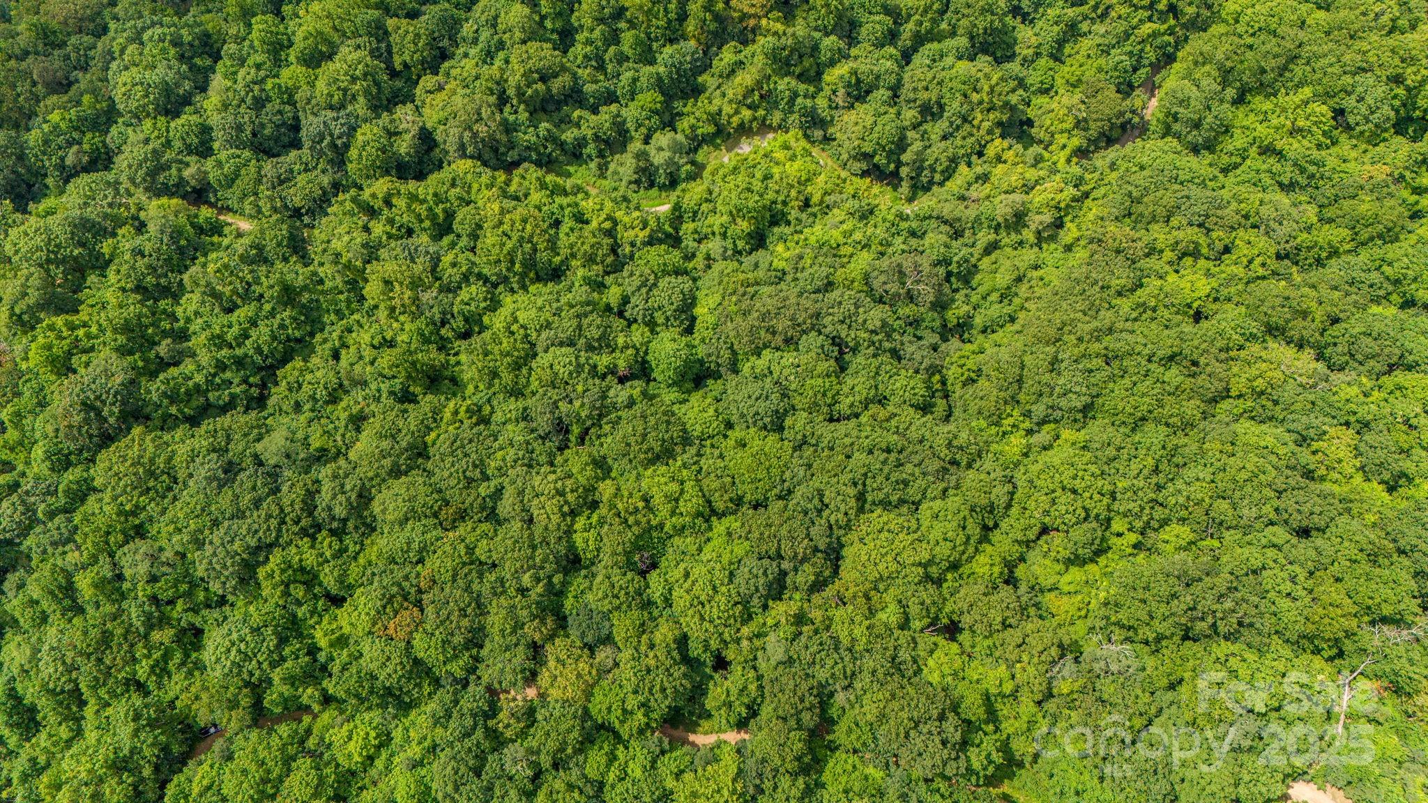 Lot 21 Cat Pen Branch Road Hot Springs, NC 28743 - Photo 29 of 31 a view of a green field