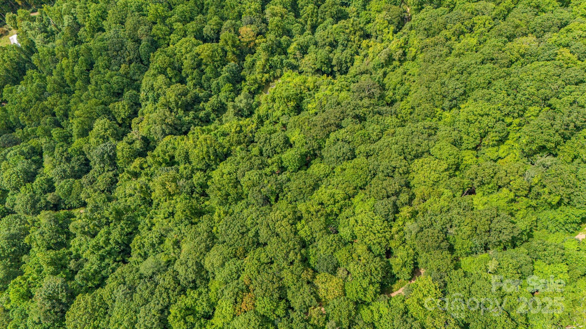 Lot 21 Cat Pen Branch Road Hot Springs, NC 28743 - Photo 30 of 31 a view of a lush green field