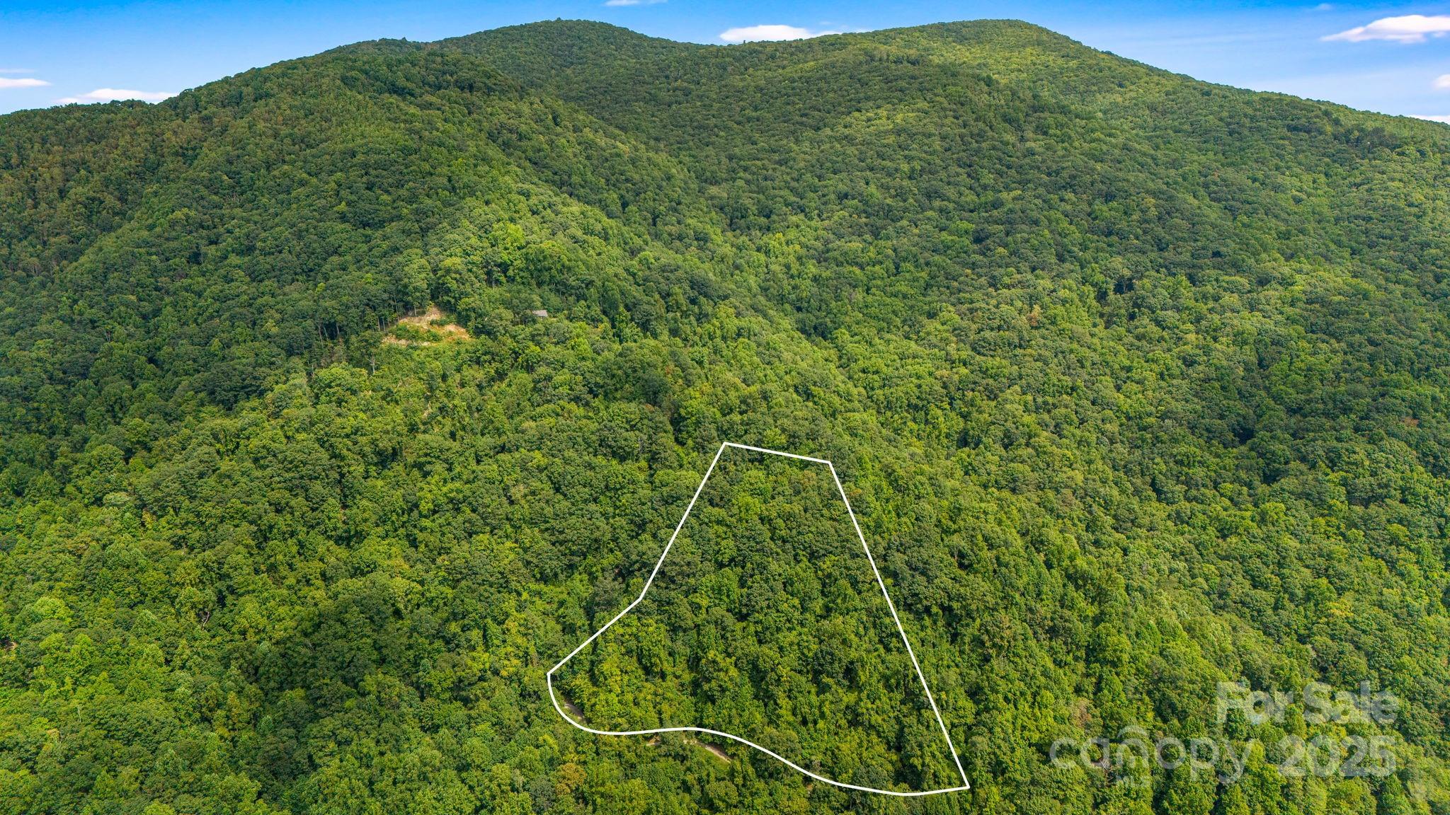 Lot 21 Cat Pen Branch Road Hot Springs, NC 28743 - Photo 3 of 31 a view of a lush green forest with a mountain