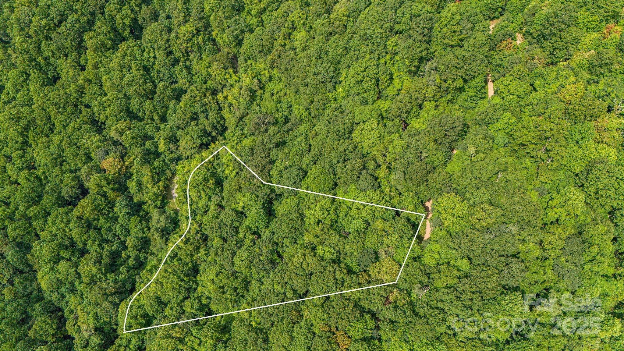 Lot 21 Cat Pen Branch Road Hot Springs, NC 28743 - Photo 5 of 31 a view of a field with a plant in the background