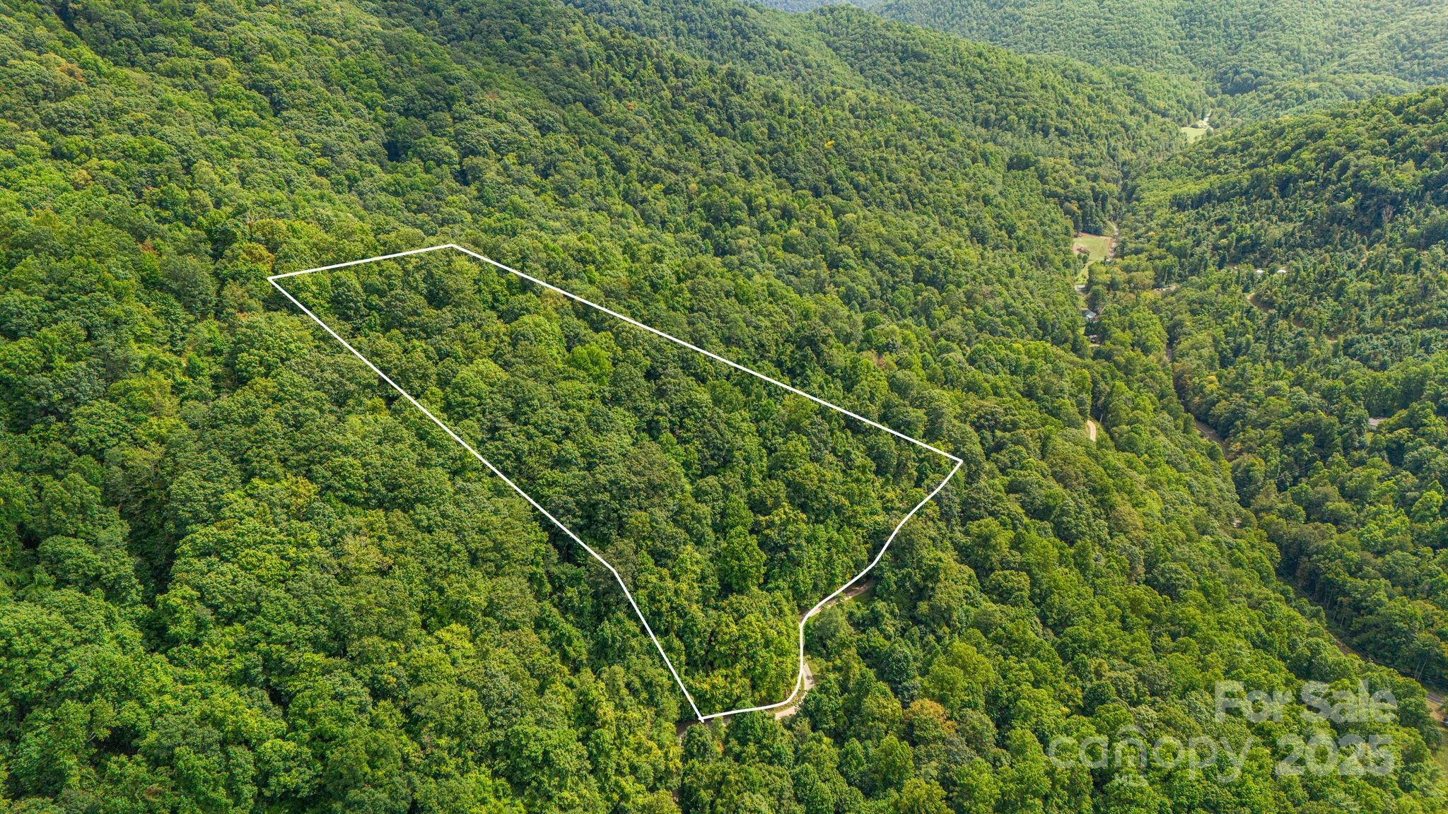 Lot 21 Cat Pen Branch Road Hot Springs, NC 28743 - Photo 7 of 31 an aerial view of a house with a plant