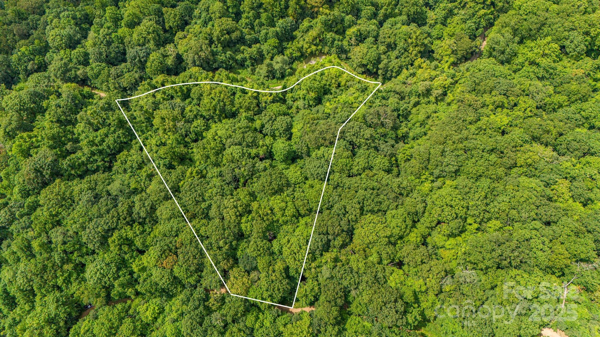 Lot 21 Cat Pen Branch Road Hot Springs, NC 28743 - Photo 8 of 31 a view of a lush green field