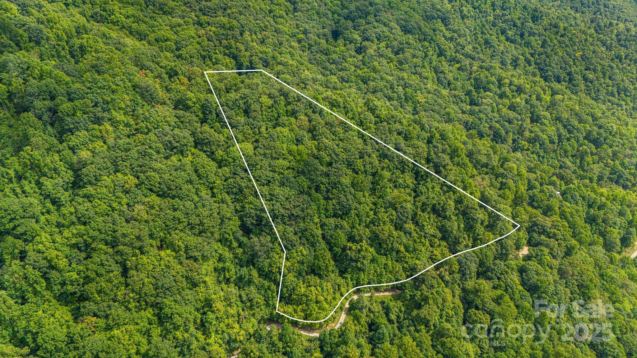 Lot 21 Cat Pen Branch Road Hot Springs, NC 28743 - Photo 10 of 31 a view of a yard with a tree