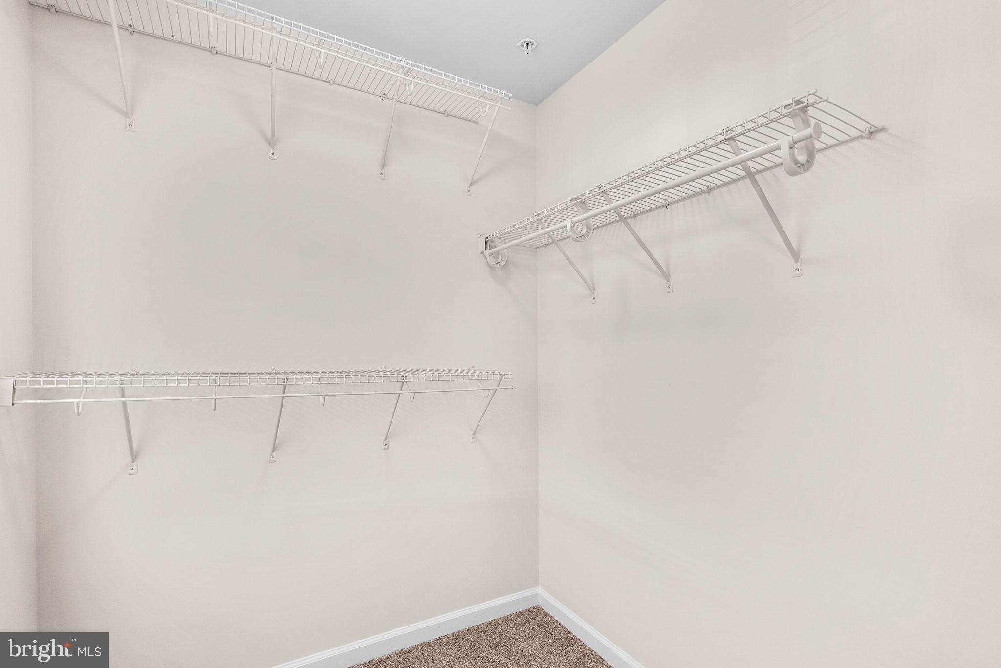 7126 Beaumont Place Hanover, MD 21076 - Photo 14 of 32 Primary Closet
